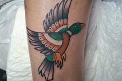 Duck
