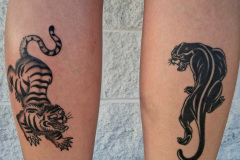 Tiger-and-panther