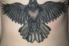 Crow-Braxton