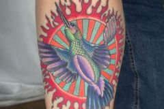 Hummingbird-Braxton