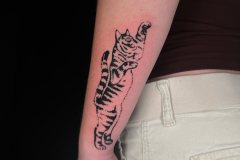 IMG_2671