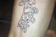 IMG_1328
