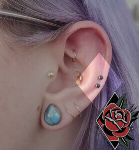 Helix Snake Bites - Liz Murphy - Tribal Rites