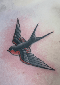 Traditional Sparrow Tattoo Tanner Hentges Loveland Colorado