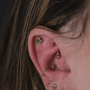 Robert Chambers Ear Curation in Loveland Colorado