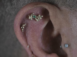 Healed Flat and helix piercings with gold jewelry Loveland Colorado